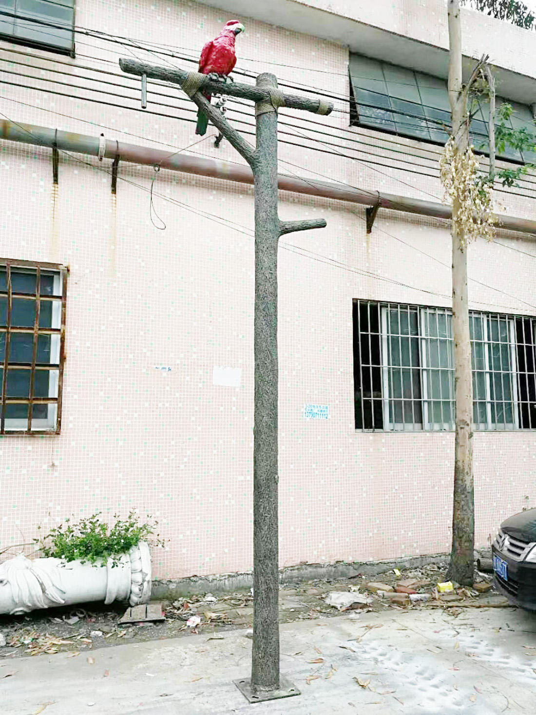 鸚鵡燈  定制