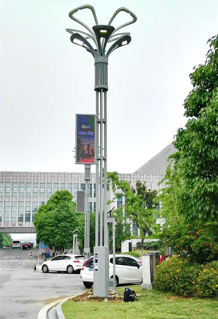 銀杏  批發(fā)